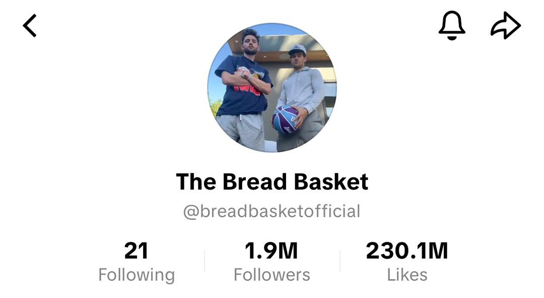 TikTok: The Bread Basket, 1.9M followers, 230.1M likes